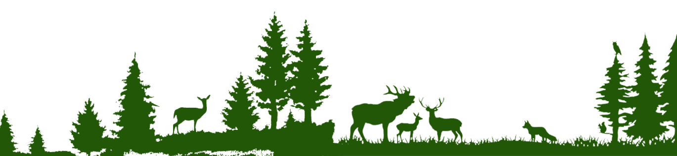 Footer Image